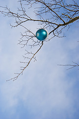 Image showing Christmas toy covered with snow hanging on tree.