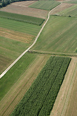 Image showing Meadows and fields. Aerial image