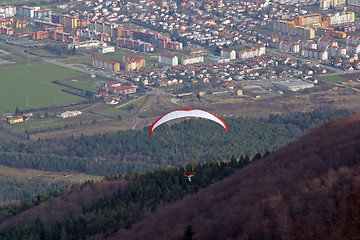 Image showing Paragliding above Maribor city, Slovenia