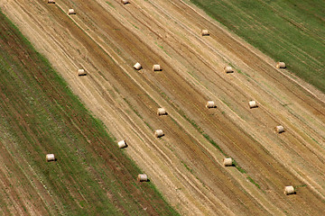 Image showing Aerial view of harvest fields in summertime