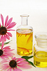 Image showing Coneflower essential  oil in bottle - stillife