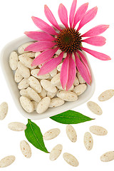 Image showing Echinacea purpurea extract pills, alternative medicine concept