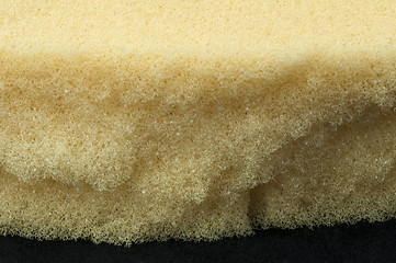 Image showing Yellow foam sponge