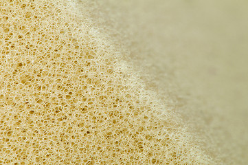 Image showing Yellow foam sponge