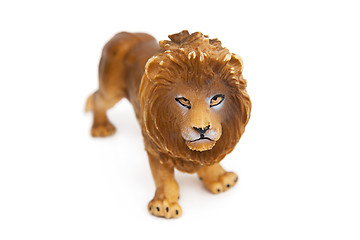 Image showing Lion