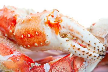 Image showing King crab legs