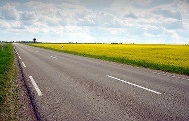 Image showing Asphalt road near fields