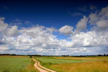 Image showing Road through the fields 