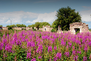 Image showing Ruins of an old building 