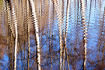 Image showing Birch reflection on water 