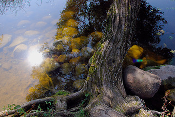 Image showing Reflection on the lake water 