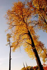 Image showing Autumn landscape 