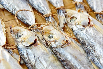 Image showing Dried salt Fish