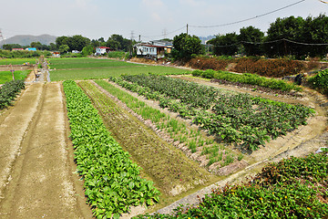 Image showing farm field