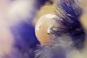 Image showing christmas ball on blue color christmas tree