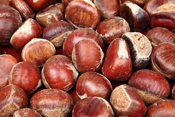 Image showing chestnut