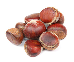 Image showing chestnut