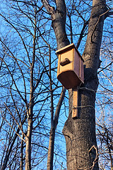 Image showing Bird house on the trunk 