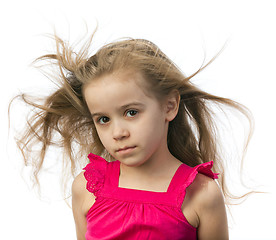 Image showing Little girl in a pink dress