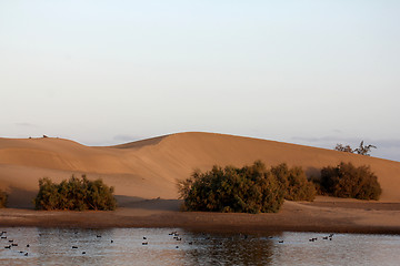 Image showing Maspalomas