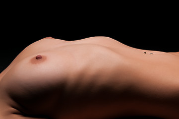 Image showing Torso