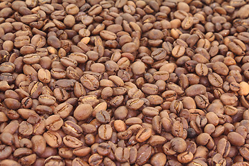 Image showing Coffee beans