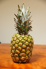 Image showing Pineapple