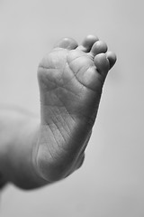 Image showing Baby foot and toes