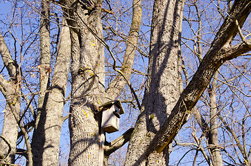 Image showing Nailed wooden bird nesting-box on tree.