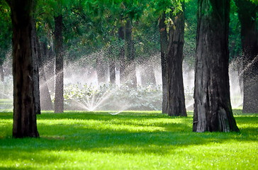 Image showing Sprinkler in a lawn with tree