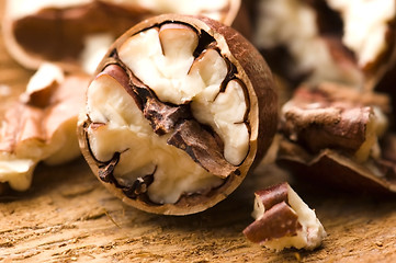 Image showing Pecan nuts