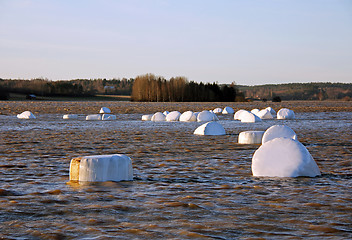 Image showing Winter flooding of river in rural Finland