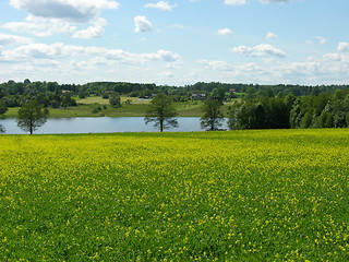 Image showing Swedish Landscape