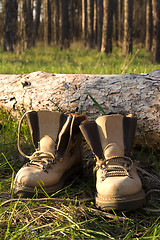 Image showing Hiking boots on the clearing in pine wood