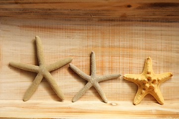 Image showing star fish