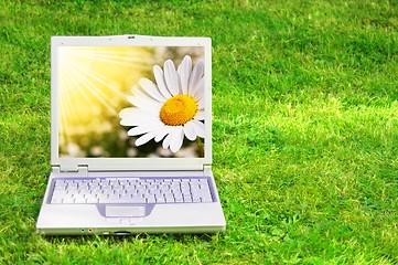 Image showing flowers and laptop
