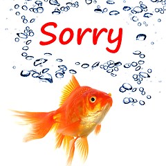 Image showing sorry