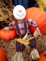 Image showing Fall scarecrow with pumpkins