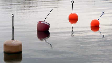 Image showing Buoys