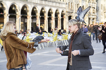 Image showing Pigeon on the hair at St mark Square.
