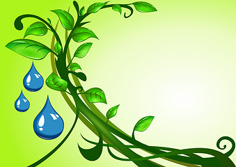 Image showing Green leaves with drops of water