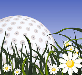 Image showing Golf ball on the grass