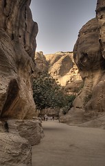 Image showing Petra ruins and mountains in Jordan