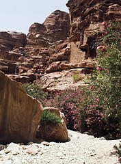 Image showing Petra ruins and mountains in Jordan