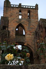 Image showing Jedburgh abbey - tourists attraction