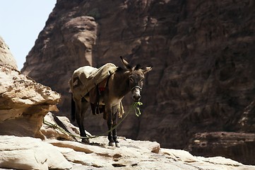 Image showing Petra ruins and mountains in Jordan