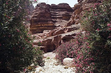 Image showing Petra ruins and mountains in Jordan