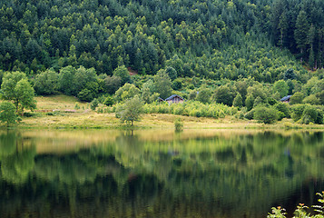 Image showing Scotland nature for walkers