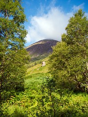 Image showing Scotland nature for walkers