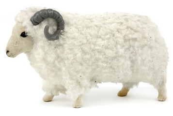 Image showing Ram